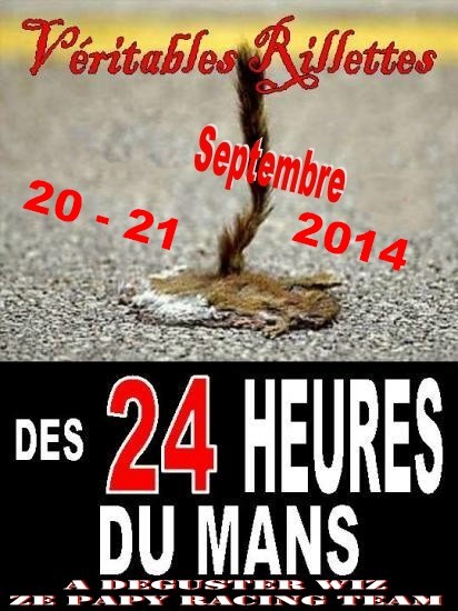 24 HEURES DU MANS 2014